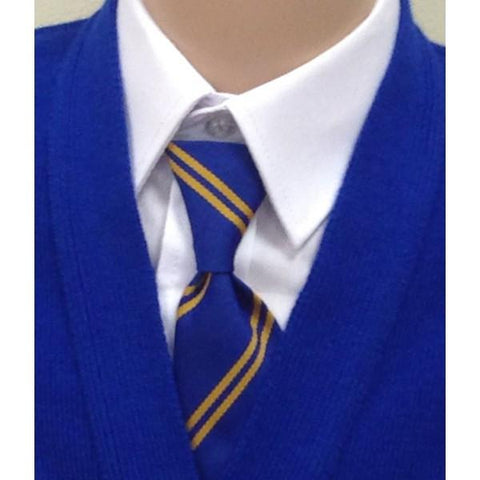 Castlewellan Primary School Elasticated Tie
