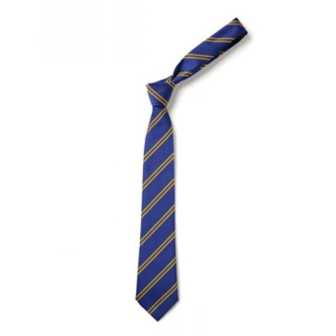 Castlewellan Primary School Standard Tie