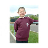 Cavehill Primary School Sweatshirt