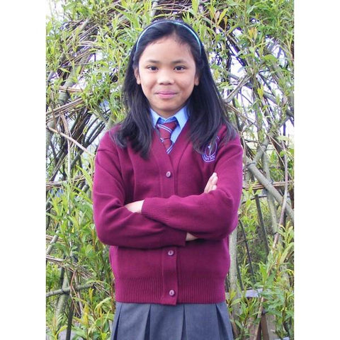 Ligoniel Primary School Elasticated Tie