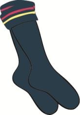 Friends School Lisburn Girls Socks