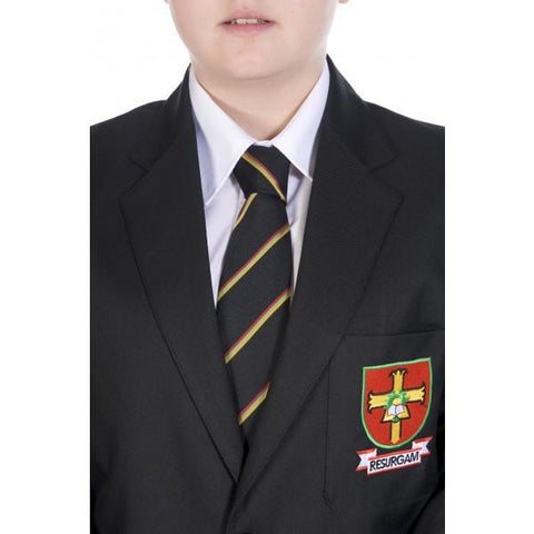 Lisnagarvey High School Tie