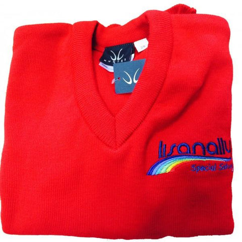 Lisanally Special School Primary V-Neck Sweatshirt