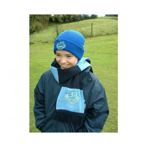 Strabane PS Scarf