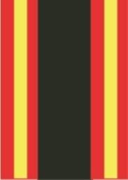 Friends School Lisburn Scarf